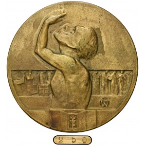 Medal of the 200th Anniversary of the Stanisławow Gymnasium 1928 - RARE