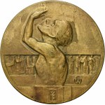 Medal of the 200th Anniversary of the Stanisławow Gymnasium 1928 - RARE