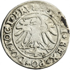 Sigismund I the Old, Groschen ELbing 1534 - PRV