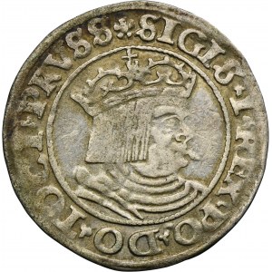 Sigismund I the Old, Groschen Thorn 1530 - PRVSS/PRVS