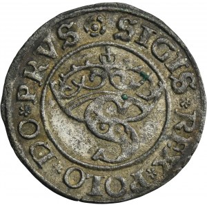 Sigismond Ier le Vieux, Szeląg Toruń 1529