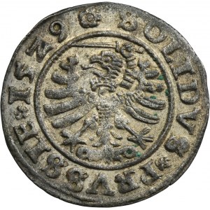 Sigismond Ier le Vieux, Szeląg Toruń 1529