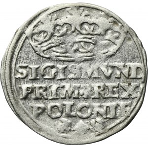 Sigismund I the Old, Groschen Krakau 1528