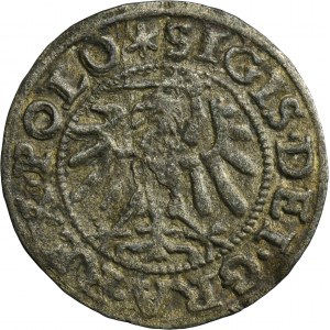 Sigismund I the Old, Schilling Danzig 1547