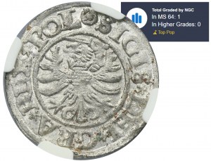 Zygmunt I Stary, Szeląg Gdańsk 1531 - NGC MS64