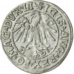 Sigismund II August, 1/2 Groschen Vilnius 1546 - LI/LITV