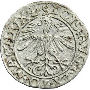 Sigismund II August, 1/2 Groschen Vilnius 1561 - L/LITV