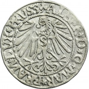 Duchy of Prussia, Albrecht Hohenzollern, Groschen Königsberg 1544 - PRVSS