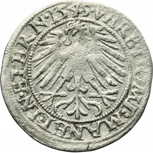 Silesia, Duchy of Liegnitz-Brieg-Wohlau, Friedrich II, Groschen Leignitz 1545 - RARE
