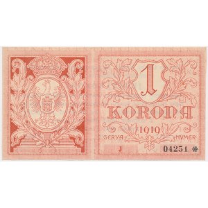 Lwów, 1 korona 1919