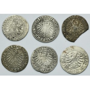 Lot, Sigismund I the Old, Groschen (6 pcs.)