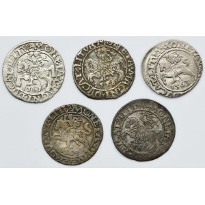 Lot, Sigismund II August, 1/2 Groschen Vilnius (5 pcs.)