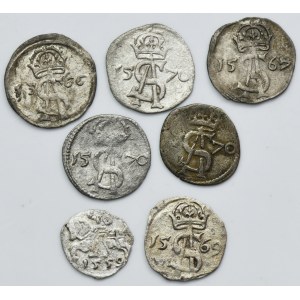 Lot, Sigismund II August, Denarius and Two Denarius Vilnius (7 pcs.)