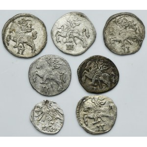 Lot, Sigismund II August, Denarius and Two Denarius Vilnius (7 pcs.)