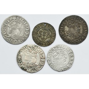 Lot, Sigismund I the Old and Stephan Bathory, Schilling and Groschen (5 pcs.)
