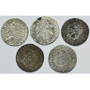 Lot, Duchy of Prussia, Albrecht Hohenzollern, Groschen Königsberg (5 pcs.)