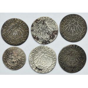 Lot, Duchy of Prussia, Albrecht Hohenzollern, Schilling and Groschen Königsberg (5 pcs.)