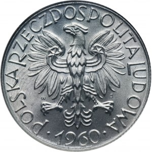 5 złotych 1960 Rybak - GCN I/I