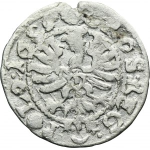 Sigismund III Vasa, Groschen Krakau 1625 - inverted 2