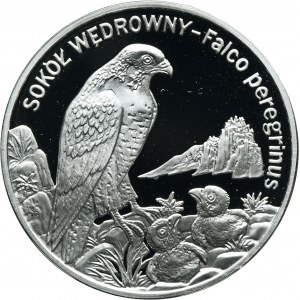 20 złotych 2008 Sokół