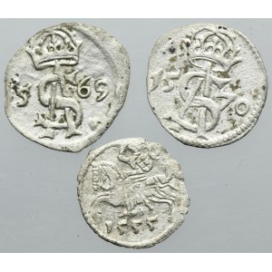 Lot, Sigismund II August, Denarius and Two denarius Vilnius (3 pcs.)