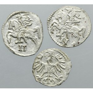 Lot, Sigismund II August, Denarius and Two denarius Vilnius (3 pcs.)