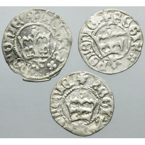 Lot, Casimir IV Jagiellon and John I Olbracht, 1/2 Groschen Krakau (3 pcs.)