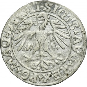 Sigismund II August, 1/2 Groschen Vilnius 1548 - LI/LITVA