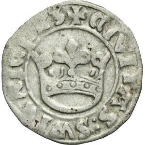 Silesia, City of Schweidnitz, Louis II of Hungary, 1/2 Groschen 1523