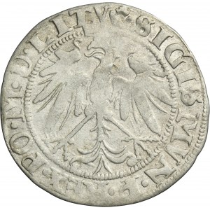 Sigismund I the Old, Groschen Vilnius 1536 - LITVA/LITV