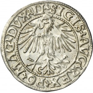 Sigismund II August, 1/2 Groschen Vilnius 1548 - LI/LITVA