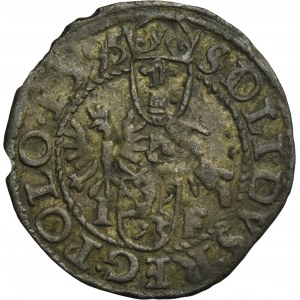 Sigismund III Vasa, Schilling Fraustadt 1595 - VERY RARE, flower and grate