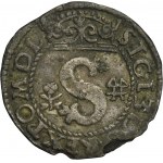 Sigismund III Vasa, Schilling Fraustadt 1595 - VERY RARE, flower and grate