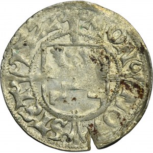 Pommern, Duchy of Stettin, Boguslaw X, Schilling Stettin 1522