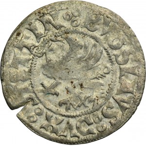 Pommern, Duchy of Stettin, Boguslaw X, Schilling Stettin 1522