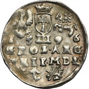 Sigismund III Vasa, 3 Groschen Vilinius 1596 - RARE