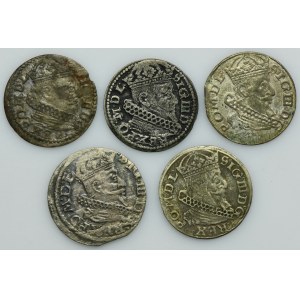 Lot, Sigismund III Vasa, Groschen Vilnius (5 pcs.)