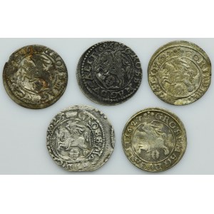 Lot, Sigismund III Vasa, Groschen Vilnius (5 pcs.)