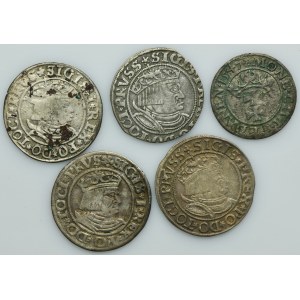 Lot, Sigismund I the Old, Schilling and Groschen, Danzig and Thorn (5 pcs.)