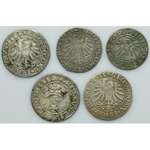 Lot, Sigismund I the Old, Schilling and Groschen, Danzig and Thorn (5 pcs.)