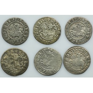Lot, Alexander Jagiellon and Sigismund I the Old, 1/2 Groschen Vilnius (6 pcs.)