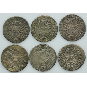 Lot, Alexander Jagiellon and Sigismund I the Old, 1/2 Groschen Vilnius (6 pcs.)