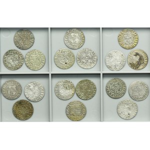 Lot, Sigismund III Vasa, 3 Polker Bromberg (12 pcs.)