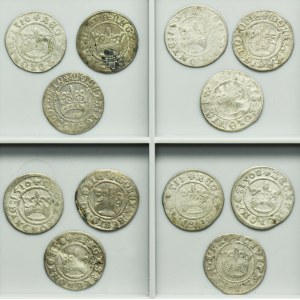 Lot, Poland and Silesia, Alexander Jagiellon, Sigismund I the Old and Louis II of Hungary, Halfgroschen (12 pcs.)