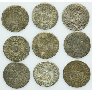 Lot, Sigismund III Vasa, Schilling Riga (9 pcs.)