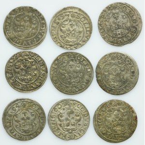 Lot, Sigismund III Vasa, Schilling Riga (9 pcs.)