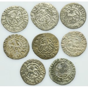 Lot, John I Albert, 1/2 Groschen (8 pcs.)