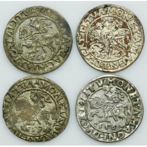 Lot, Sigismund II August, 1/2 Groschen Vilnius (4 pcs.)