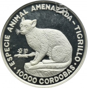 Nicaragua, 10.000 Cordobas Panama 1990 - Ocelot - GCN PR62