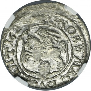 Sigismund III Vasa, Groschen Vilnius 1625 - NGC MS63